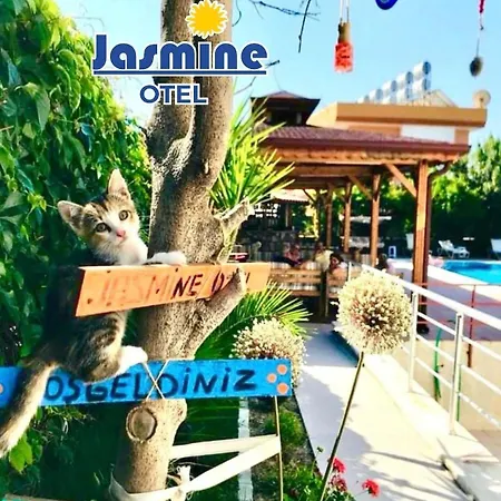 Séjour chez l'habitant Jasmine